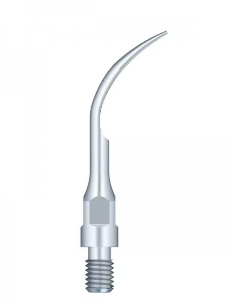Насадка для скалера GS1 Woodpecker WDP001100