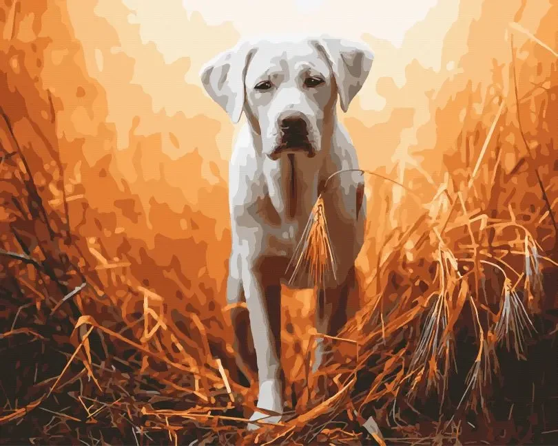 Собаки картини за номерами 40х50 Картини по цифрах на полотні Вірний друг Картини за номерами Rainbow Art GX45501, фото 1