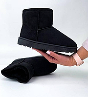 Угги короткие черные эко замша унисекс UGG