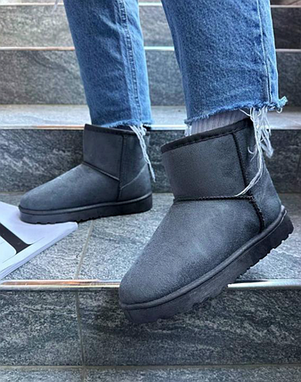Уги UGG короткі сіра екологічна замша жіночі, фото 1