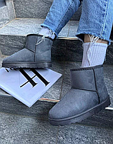 Уги UGG короткі сіра екологічна замша жіночі, фото 3