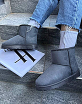 Уги UGG короткі сіра екологічна замша жіночі, фото 2