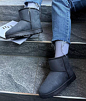 Уги UGG короткі сіра екологічна замша жіночі, фото 4