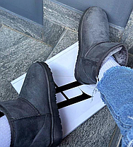 Уги UGG короткі сіра екологічна замша жіночі, фото 6