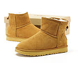 Сапоги женские UGG Mini ( Натуральна замша, штучне хутро) р.36-41, фото 3