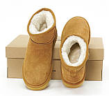 Чоботи жіночі UGG Ultra Mini (Натуральна замша, штучному хутро) р.36-41, фото 7