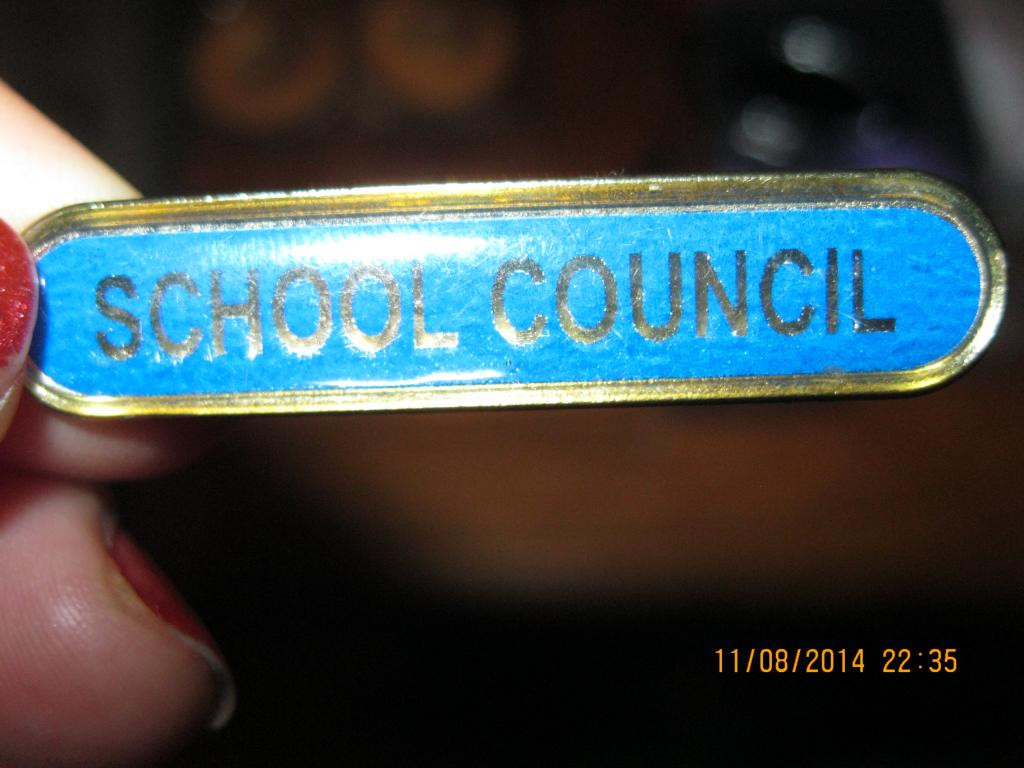 В коллекцию Знак брошка SCHOOL COUNCIL брошь значок из британии - фото 1 - id-p365295098
