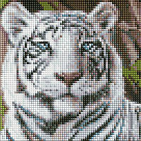 Алмазна мозаїка без підрамника - Бенгальський тигр. Розмір: 20х20