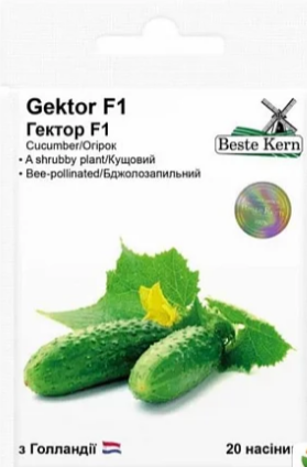 Огірок Гектор F1 20 шт