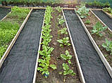Агротканина Agreen чорна 85 г/м² ширина 3.2 м, фото 2