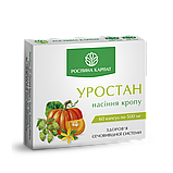 Уростан  здоров"я сечовивідної системи 60 кап.Рослина Карпат, фото 3