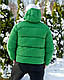 Яскравий короткий чоловічий пуховик на пуху зелений, фото 2