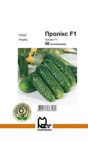 Огірок Ромара 50 нас