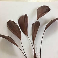 Перья-антенки 15-20см, цвет шоколадный *1шт