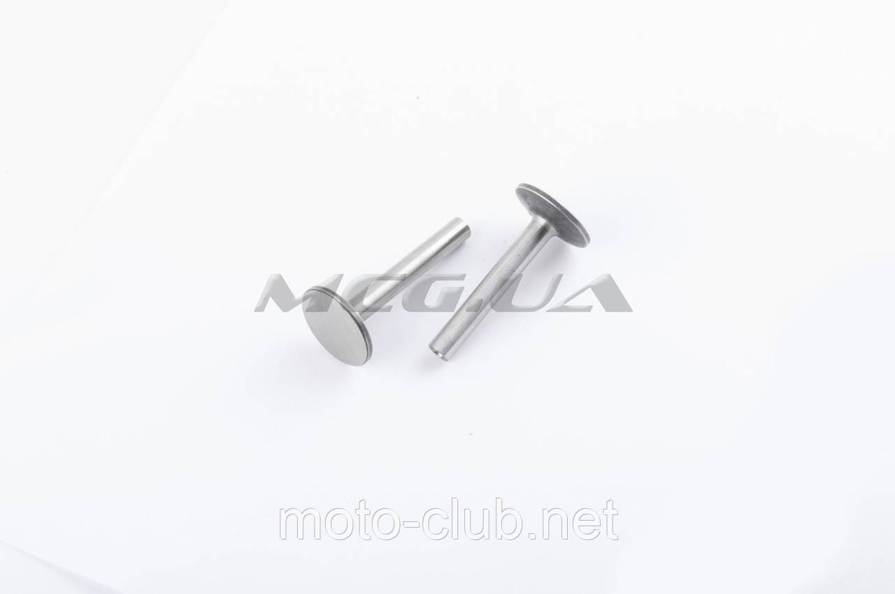 Штанці штанг ГРМ (пара) для мотоблока з двигуном 186F (9Hp) "DIGGER", фото 1