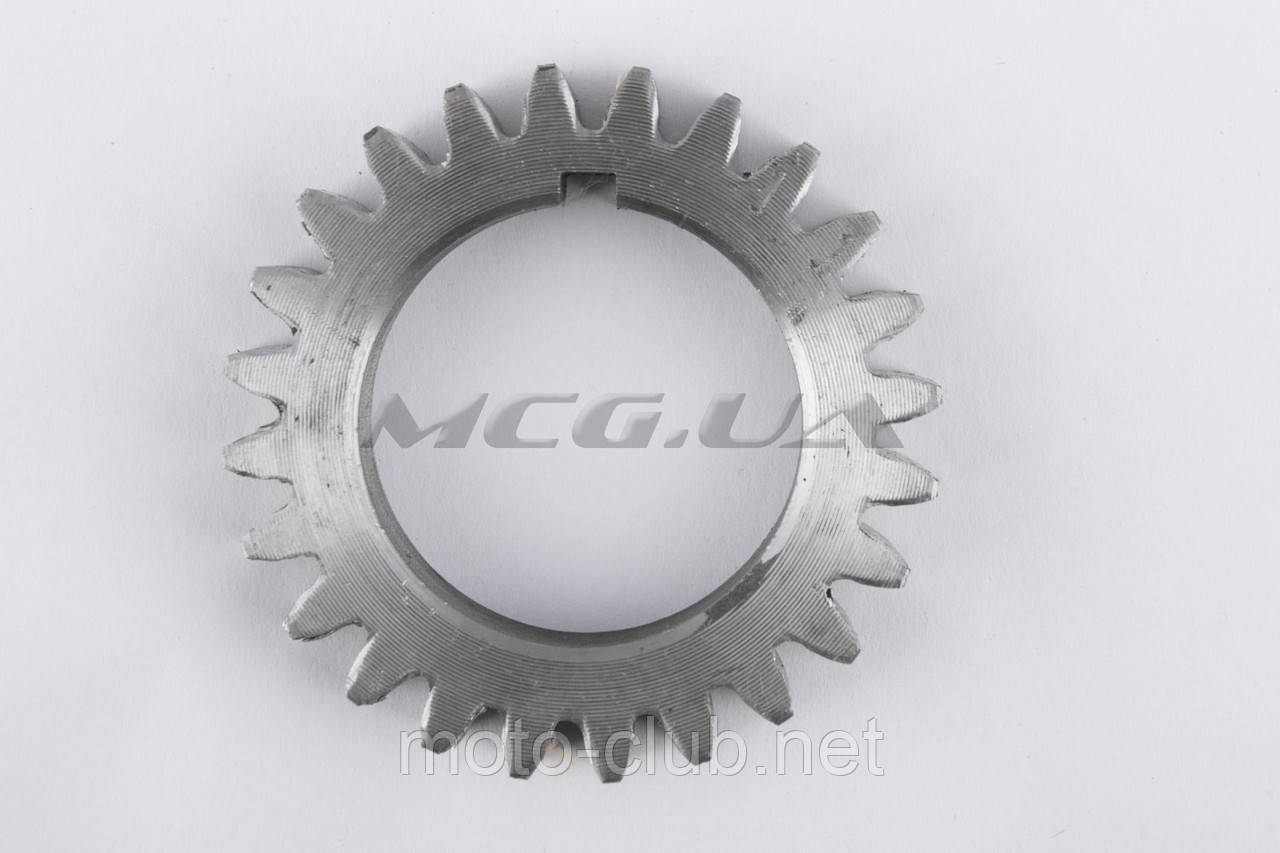 Шестірня колінвала розподільна для мотоблока з двигуном 180N (9Hp) "DIGGER" (Z-24), фото 1