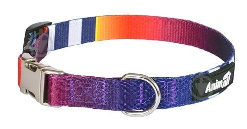 Нашийник AnimAll (8992) HL-C-T001A XS-3 1x20-30 см Веселка, фото 1