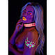 Нашийник з повідцем, що світиться в темряві Taboom Glow In the Dark Collar and Chain Leash, рожевий 18+, фото 5