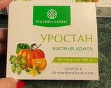 Уростан  здоров"я сечовивідної системи 60 кап.Рослина Карпат, фото 2