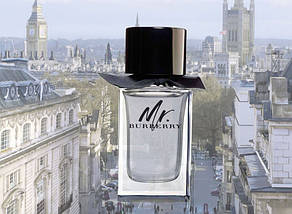 Burberry Mr. Burberry туалетна вода 100 ml. (Тестер Берберрі Містер Берберрі), фото 4
