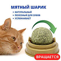 Ласощі з м'ятою для котів з котячої м'яти, Льодяник для котів, Кругла кулька з м'ятою на липучці, фото 3