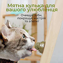Ласощі з м'ятою для котів з котячої м'яти, Льодяник для котів, Кругла кулька з м'ятою на липучці, фото 5