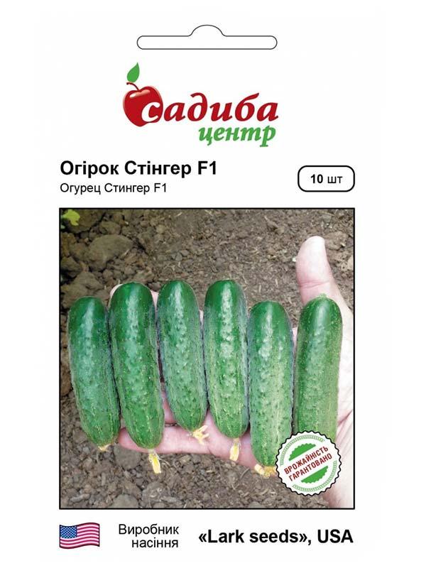 Огірок Стінгер F1, 10 нас. СЦ