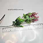 Гілочка евкаліпту, 22 см, фото 4