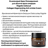 Колагеновий Крем Регенеруючий: для обличчя проти зморшок Flagolie Cialocud Collagen Regenerating Anti-wrinkle Cream 50ml, фото 2