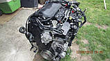 Двигун Ford Focus III 2.0 TDCi, 2010-today тип мотора TXDB, фото 4