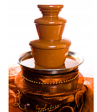 Шоколадний фонтан для дому - CF33, фото 6