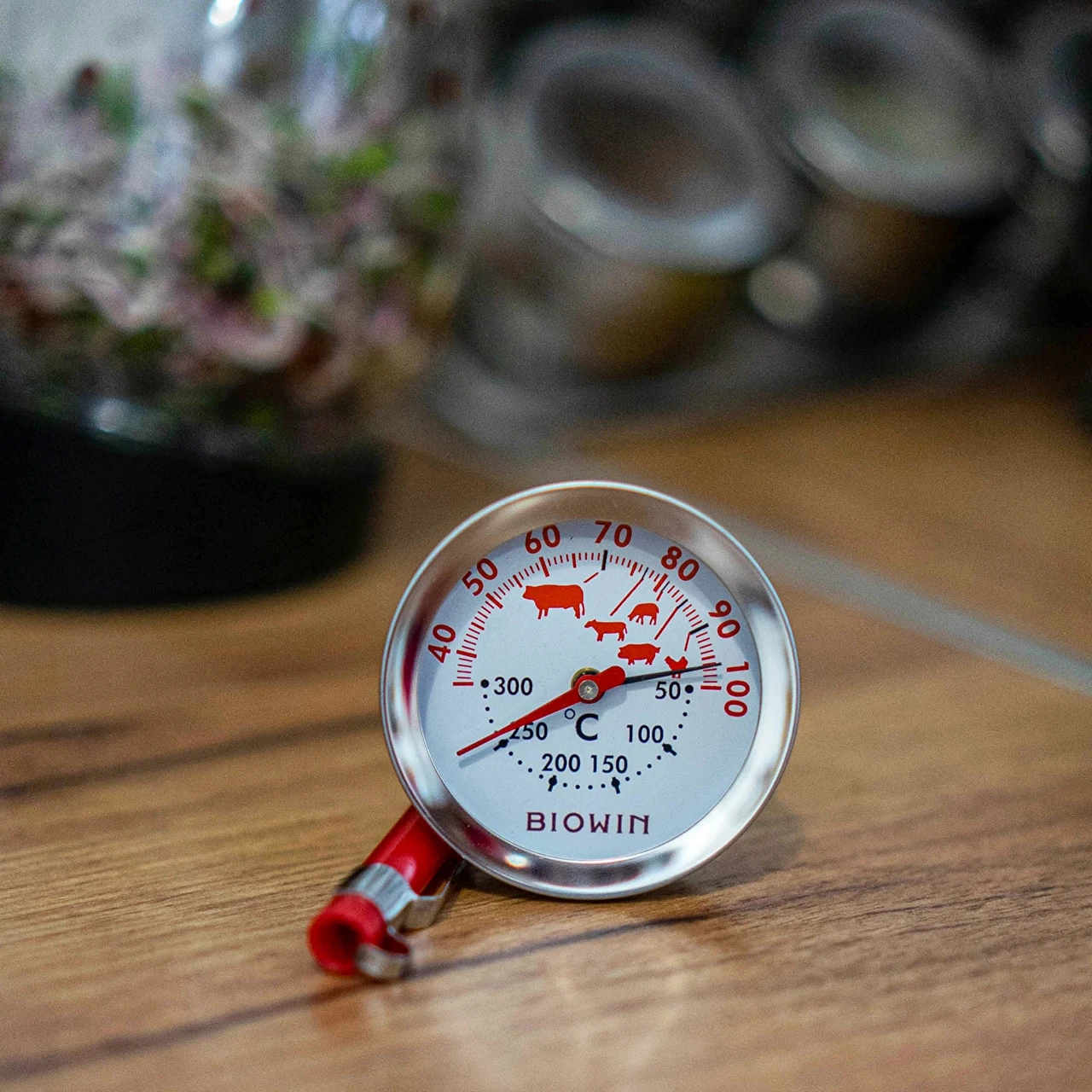 Термометр для запекания в духовке Browin до 300°C ( 100900) - фото 2 - id-p1231205946