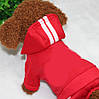 Спортивний костюм для собак Pet Style "Adidog" Червоний S, фото 3