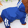 Спортивний костюм для собак Pet Style "Adidog" Синій XS, фото 6