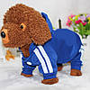 Спортивний костюм для собак Pet Style "Adidog" Синій XS, фото 3