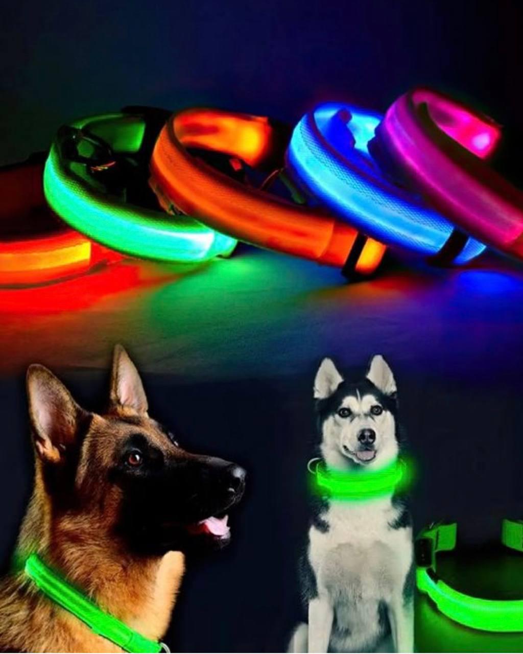 Светящийся ошейник для собак на аккумуляторе USB GLOW RING, Led маячок для животных кошек и собак - фото 3 - id-p2042470506