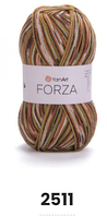 Нитки та пряжа для в'язання шкарпеткова напіввовна 75/25 FORZA YarnArt Форза ЯрнАрт № 2511