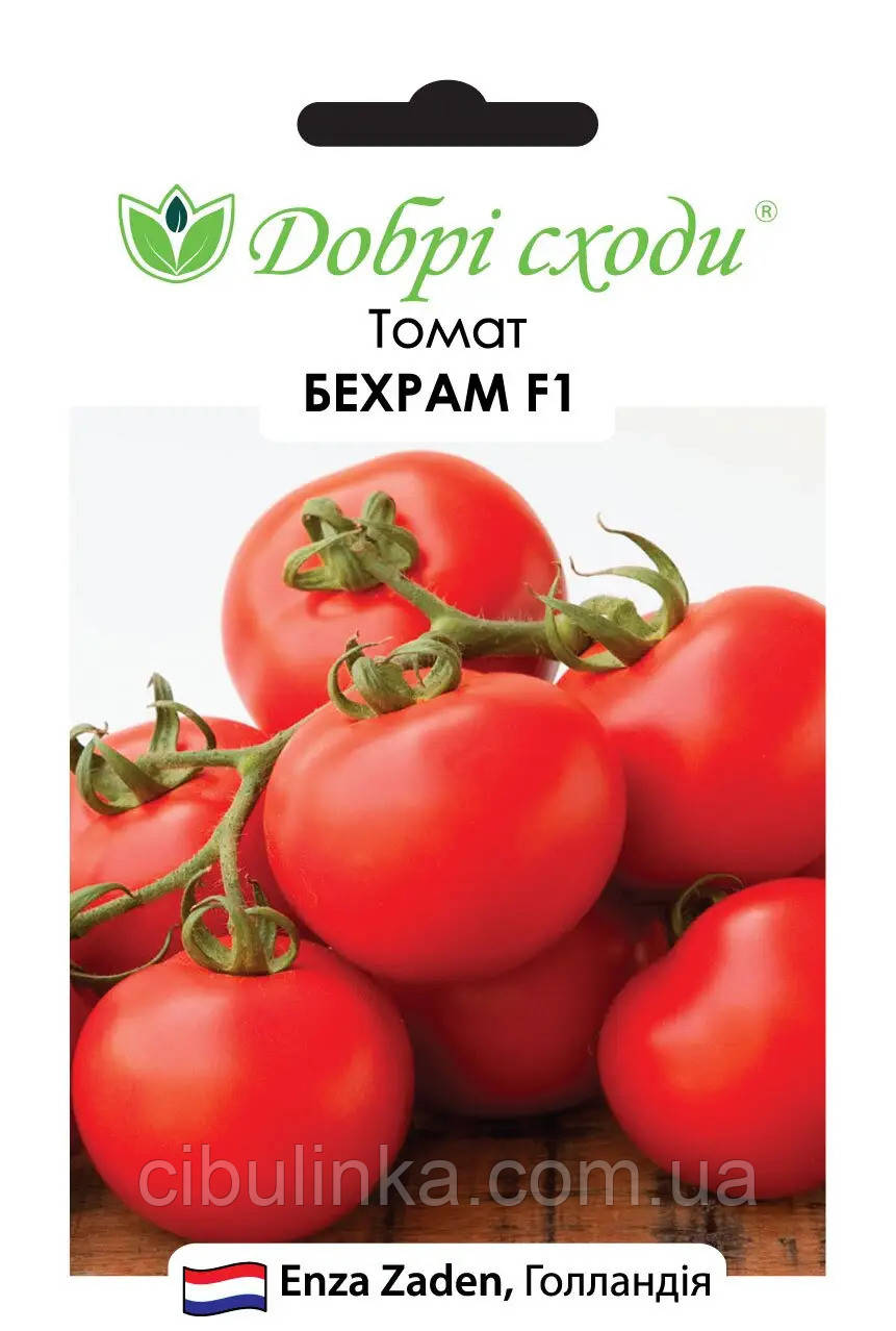 Томат Бехрам F1 Enza Zaden 10 шт