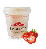 Паста натуральна Полуниця Joygelato, 1,2 кг