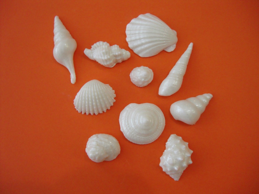 Силіконовий молд Набір ракушок 1, фото 1