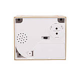 Скарбничка “Кітка злодюжка” кіт у коробці краде монету на батарейках, фото 4