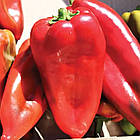 Насіння перцю солодкого Каптур F1 Seminis/Нідерланди 10 шт, фото 2