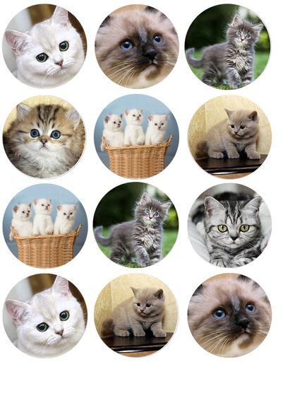 Вафельна картинка для капкейків Котики 3, фото 1