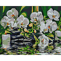 Алмазна мозаїка "Спокій у орхідей" Brushme DBS1002 40х50 см Ама