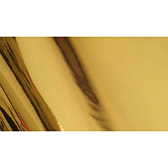 Самоклеюча плівка D-c-fix глянець золото 45*100 см