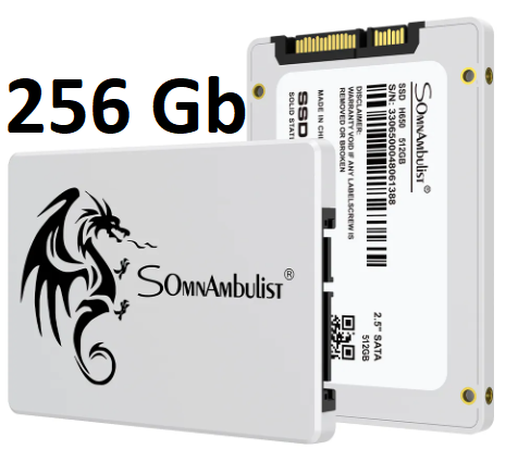 Твердотільний жорсткий диск SSD 256GB SomnAmbulist 2.5" SATAIII, вінчестер SSD накопичувач 256 Гб для ноутбука та ПК