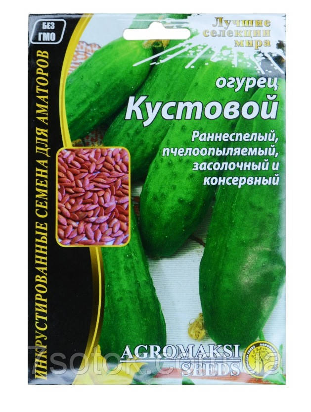 Насіння огірка Кустовий, 4г, ТМ Агромаксі