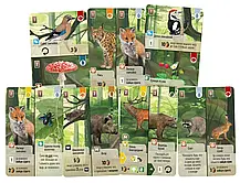 Настільна гра Лісова метушня (Forest Shuffle), фото 4