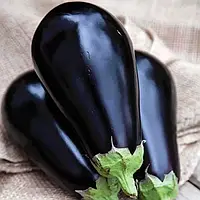 Насіння United Genetics баклажан Перфекшен F1 30 нас.