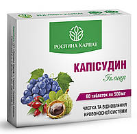 Каписудин 60 капс. «Рослина Карпат» фитокомплекс для очистки и восстановления кровеносной системы.